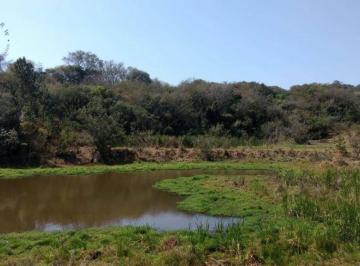 18fb35bdfadf5c3f4b8e95e32ecbc217bf1a43d6 · Área à venda, 5000 m² por R$ 600.000,00 - Aparecida - Araçoiaba da Serra/SP