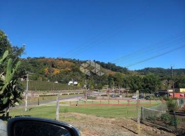 152645_i3VD93176z_15264560986cb60ccf7.jpg · Terra no Vale dos Vinhedos