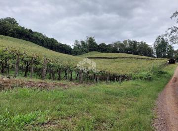 231101_ia051IRTAXJ5n6_23110162337ab74505a.jpg · Terra de 4.5 ha em São Valentim Bento Gonçalves