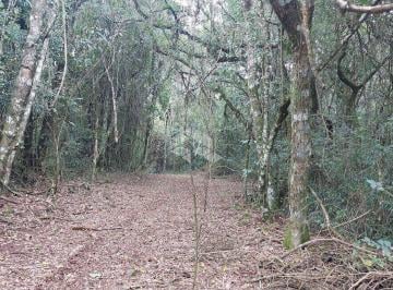 423971_i06A0_42397164b4931eef50f.jpg · Área de terra rural 2ha para sítio com matrícula