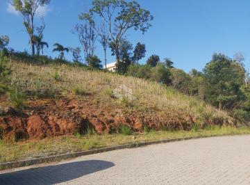 259199_i7w44zZ5pBxW213v79553_259199639383bd7d4f4.jpg · Terreno no Bairro Verona