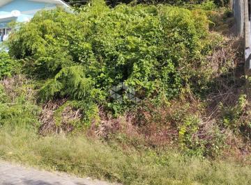 516908_i51b12_516908660b3cf16e3ad.jpg · Terreno 10x20 boa localização