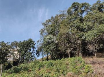 434348_iiIc6t_43434864c430b2a07cc.jpg · Terreno à venda - em Santo Antão