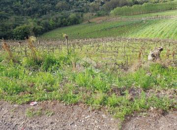 238614_i7D28L36KkE_23861462a1492c43f35.jpg · Linda área rural a 14 km de Bento Gonçalves