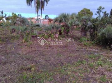 368125_iKk5Tzz06hy_368125623b681090d2b.jpg · terreno de 1743 m² na avenida