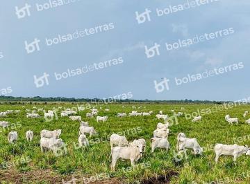 4_iaKH15xaT9r43c_466f3091c1ae42.jpg · Rurais à venda - no Centro