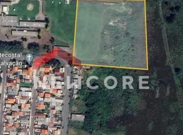 Terreno · 18000m² · Lote em  Avenida Rocha Pombo, s/n - Águas Belas - São José dos Pinhais/PR