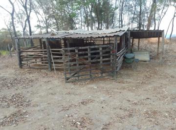 Rural , Fortuna de Minas · Sitio