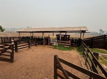 Foto 01 · OPORTUNIDADE IMPERDÍVEL: SÍTIO À VENDA EM PRESIDENTE MÉDICI, RONDÔNIA