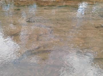 Rural , Entre Rios de Minas · Sitio