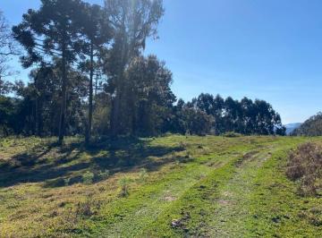 Rural , Urubici · Área de 2 hectares na localidade de Rio Vacariano, Urubici/Serra Catarinense