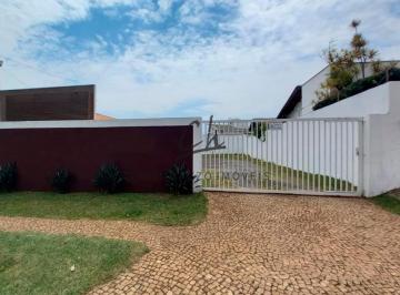 Comercial · 401m² · Terreno à venda e para alugar em Campinas, Jardim das Paineiras, com 401.8 m²