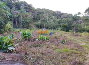 d1dkibk2nmvkzthjnzm3ogm2_md · CHACARA COM LUZ LIGADA AGUAS MORNAS -SC 1.600  METROS  E MUITA NATUREZA