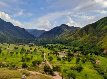 Rural de 2 quartos, Niquelândia · FAZENDA PARA PECUÁRIA, NIQUELÂNDIA DE GOIÁS