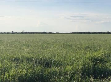 Rural , Jaíba · FAZENDA 1000HA  na JAIBA MG