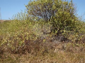 Área de Serviço · Terreno à venda em Porto das dunas - CE