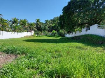 Rural , Cachoeiras de Macacu · Gandolfi C.Imóveis - Chácara com 1800m² em Cachoeiras de Macacu, confira!