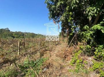 ebd0ec533dcd1f2b30714696aa1350b06ccb1cbb · Área à venda, 13701 m² por R$ 2.300.000,00 - Olaria - Salto/SP