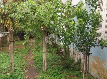 527038_i1431XtlW3Z3y_52703866e1f7abad0e7.jpg · Terreno plano  de esquina na Atanásio Belmonte com a José Scutari no bairro Boa Vista