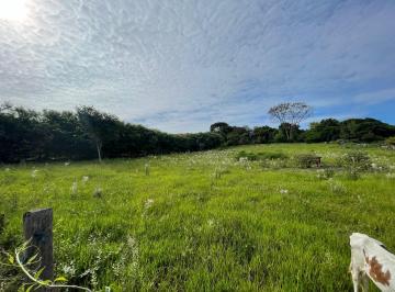 Rural , São Pedro · Terreno de chácara a venda em São Pedro - SP