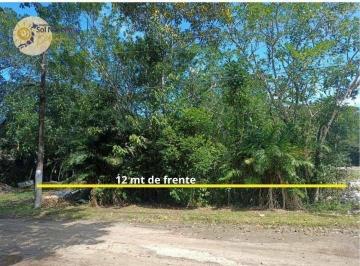 704a06851cfcee7220121896cd37a5dda84d27d5 · Terreno à venda, 500 m² por R$ 380.000,00 - Jardim  São Lourenço - Bertioga/SP
