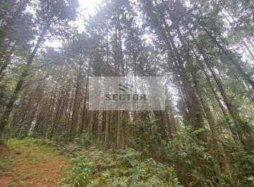 Rural · 283556m² · Fazenda / Sítio / Chácara em Quatro Pinheiros  -  Mandirituba