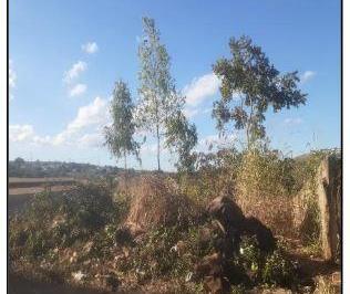Photo_0 · 
                Oportunidade Única em SETE LAGOAS - MG | Tipo: Terreno | Negociação: Venda Online  