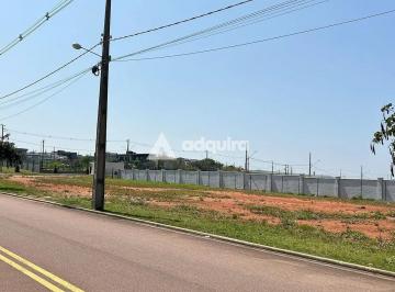 whatsapp-image-2024-09-25-at-12-02-551727287222256.jpeg · Terreno comercial à venda, Jardim Carvalho, Ponta Grossa, PR