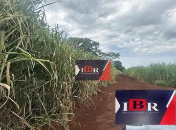 79d1c87796b543f4da843618a396884b102b1433 · Fazenda em Ribeirão Bonito - SP