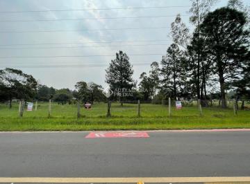 558144_i1418v99316M2ZO_55814466f41776dfe89.jpg · Terreno na estrada do Caconde