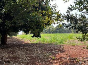 ER2_137_2024-09-24_15-40-47.jpg · Terreno - Área para venda Gleba Ribeirão Maringá Maringá
