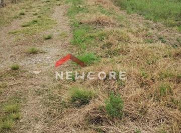 Terreno · 48000m² · Lote em Rua Joaquim Alves Fontes - Colônia Murici - São José dos Pinhais/PR