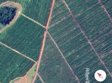 Rural , Santa Luzia · Bahia/Fazenda Produtora de Cacau/Laranja/Pimenta e Café com 1855 Hectares!
