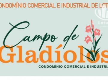 b1de0c51343ba9ebdf91dde12f5005850e4a98bd · Terreno em Condomínio Empresarial  Centro - Holambra/SP