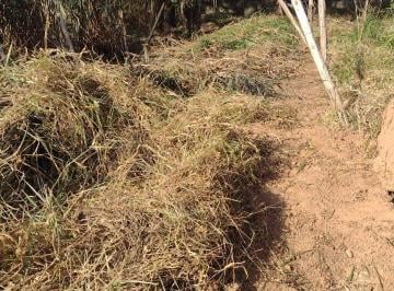 Terreno · 125m² · Terreno à Venda – Paiol