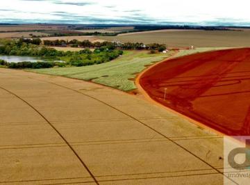Foto 13 · Fazenda de 690 alqueires à venda em Itaberá-SP: Terra roxa, irrigação, estrutura completa!