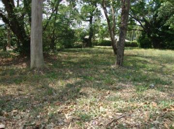 Terreno , Bragança Paulista · Terreno plano, Jd. das Palmeiras, Brag.Paulista/SP, c/bosque de árvores nativas.