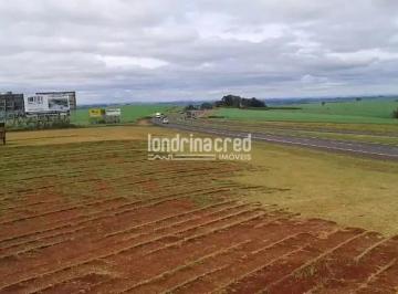 041727704372912.jpg · Excelente terreno 92mil metros quadrados, entre a Cidade de Rolândia e Arapongas próximo a grandes