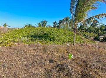 Terreno , Cruz · Grande terreno a venda em praia do preá próximo ao mar