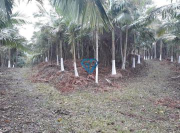 Terreno · 285000m² · Oportunidade Imperdível: Terreno Rural em Gravatal - 285.000 m²