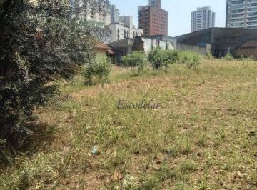 bd58065adfe8f4dd91d47435feb46ffbedd3a8a9 · Terreno à venda, 800 m² por R$ 3.200.000,01 - Vila Guilherme - São Paulo/SP