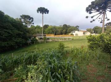 Rural · 150m² · 3 Quartos · Chácara de 5.000 m² em São José dos Pinhais à venda, Campina do Taquaral, São José dos Pinhais, PR