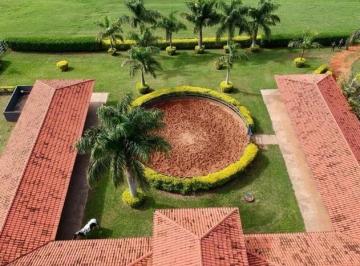 c4af8f009e2b08245824ef1c5305566ff959b781 · Fazenda com 3 dormitórios à venda, 153Ha por R$ 17.000.000 - Rural - Duartina/SP