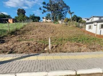 451477_i24lfoG6m2799bd9_4514776556624f7baab.jpg · Terreno no Centro de Arvorezinha