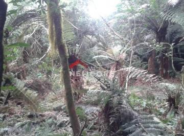 Terreno · 750m² · Lote em  Av Chimangos - Colinas - São Francisco de Paula/RS