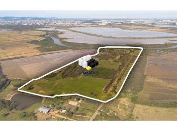 Rural · 40ha · Fazenda a Venda em Nova Santa Rita Plantio de Arroz