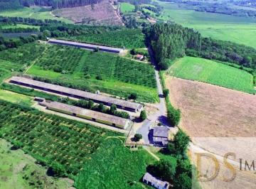 Foto 01 · SÍTIO COM GRANJA A VENDA NA REGIÃO DE SOROCABA/SP: 6,5 ALQUEIRES DE ÁREA COM AVIÁRIOS E ÓTIMA LOGÍST