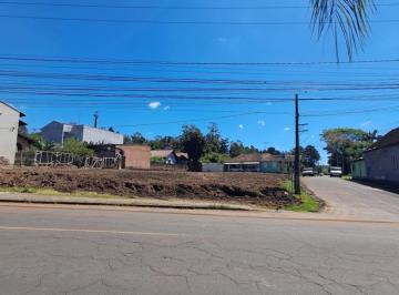 41957104_g.jpg · 
                                Terreno
                            