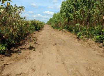 Terreno , Caxias · FAZENDA EM CAXIAS NO MARANHÃO
