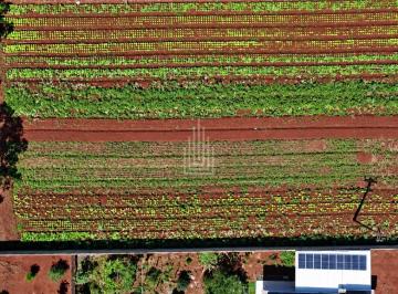 Rural · Chácara à venda no Loteamento Mata Verde em Foz do Iguaçu.